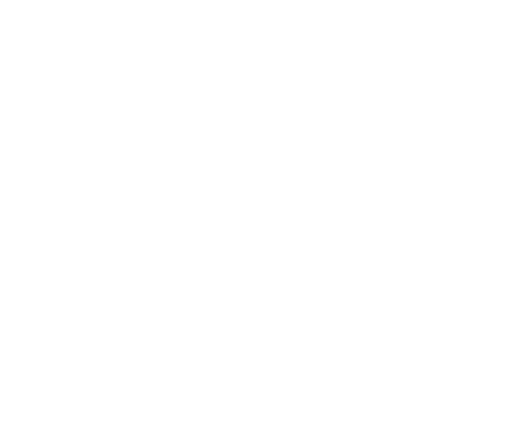 Hotel Frontera, WEB
